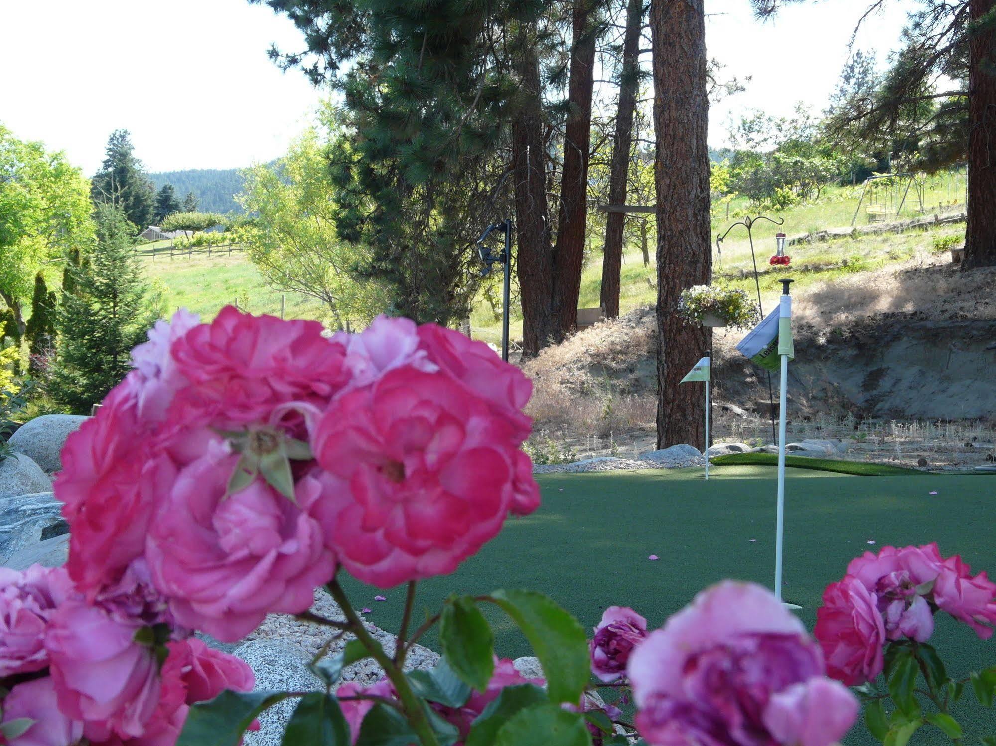 Heartstone B&B Peachland Bagian luar foto
