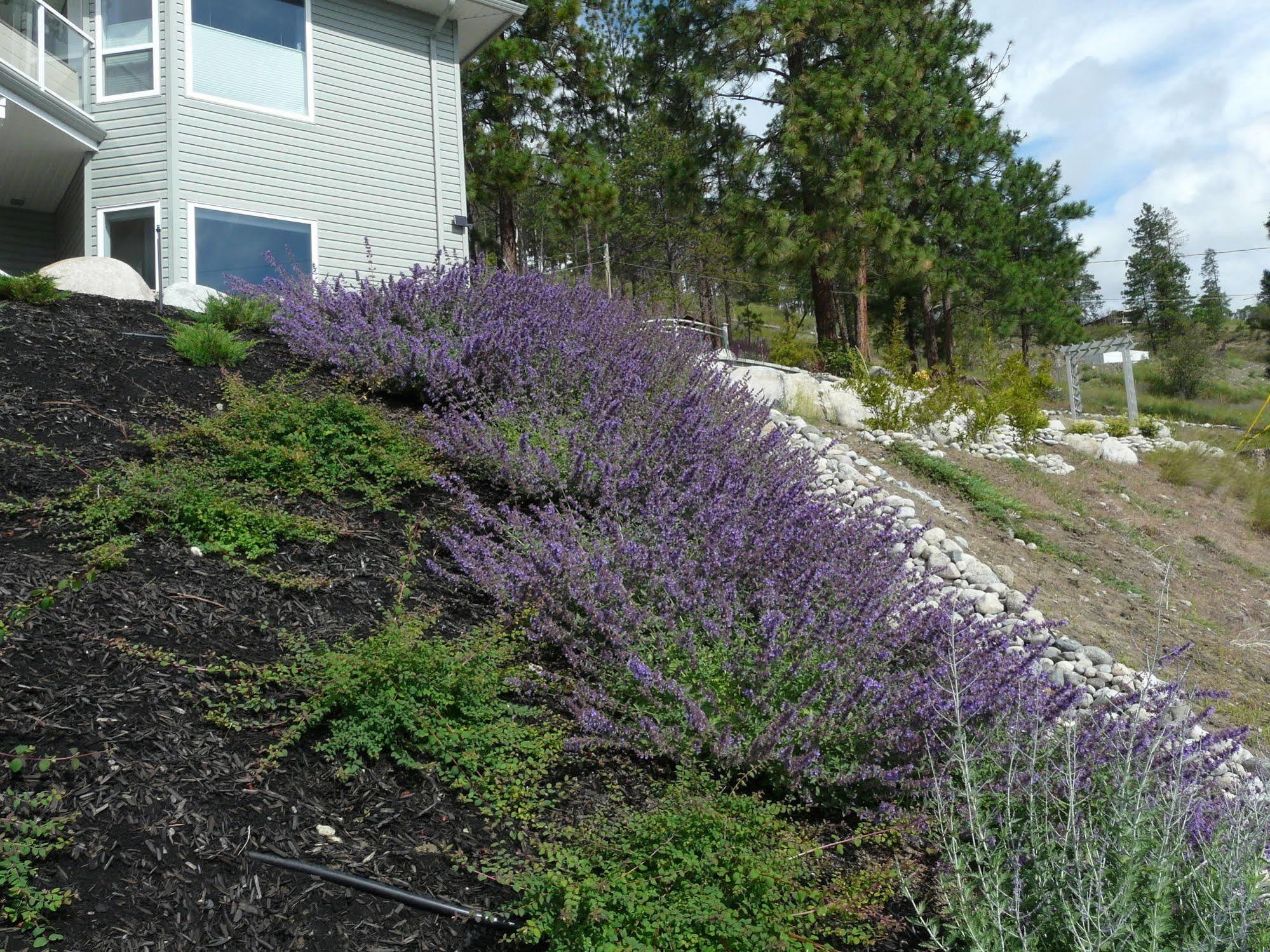 Heartstone B&B Peachland Bagian luar foto