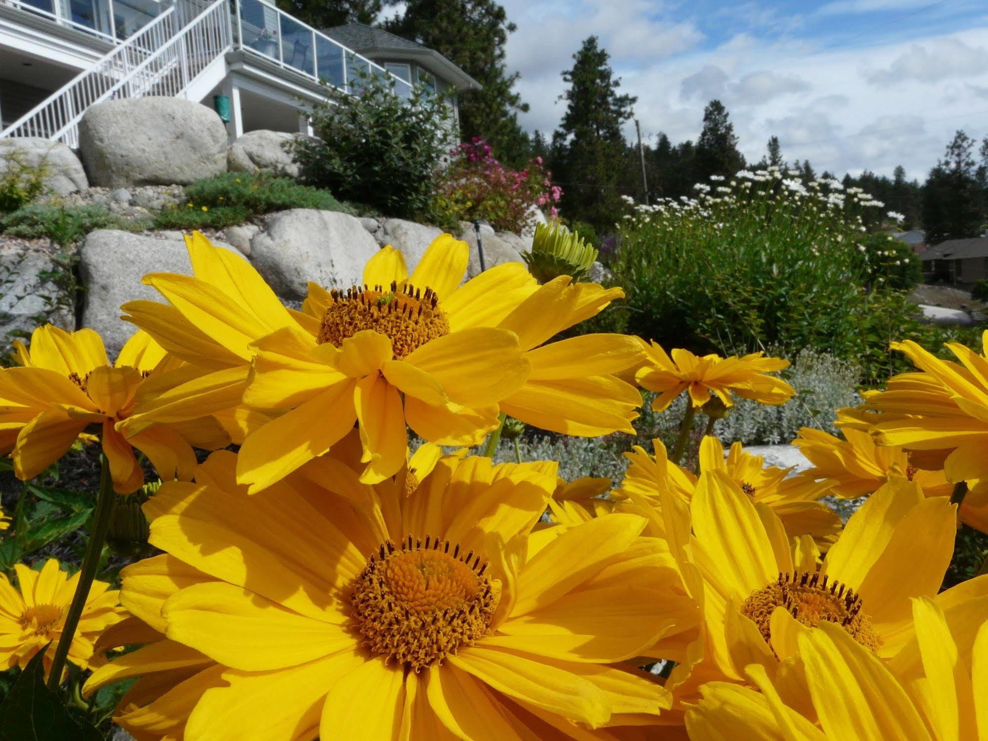 Heartstone B&B Peachland Bagian luar foto